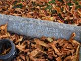 image of grave number 171799